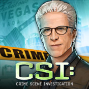 CSI Hidden Crimes